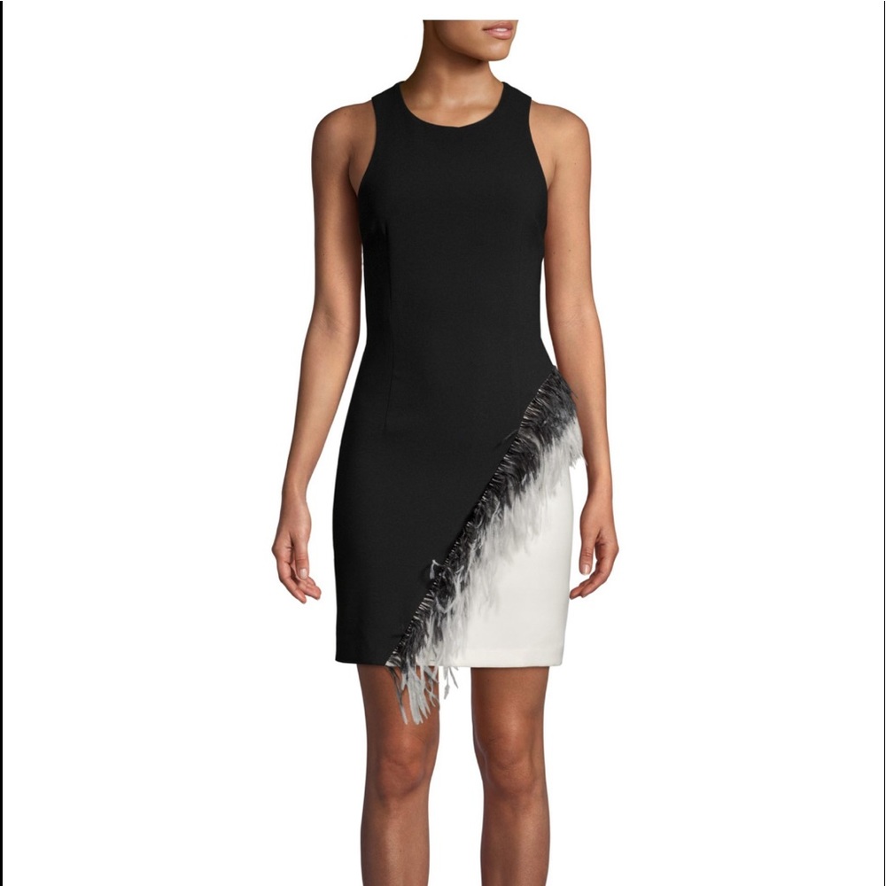 Laundry by Shelli Segal stunning dress !